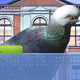 Illustration for article titled I Want Its Plumage, I Want Its Suspense, My Game of the Year Could Be a Bird Romance